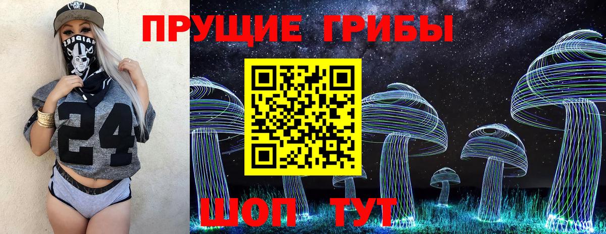 Псилоцибиновые грибы GOLDEN TEACHER  Вход с VPN  Псилоцибиновые грибы Magic Shrooms  Отрадный 